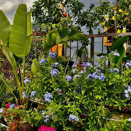 Vintiamo Apartmanok Egerszalók Exteriör bild