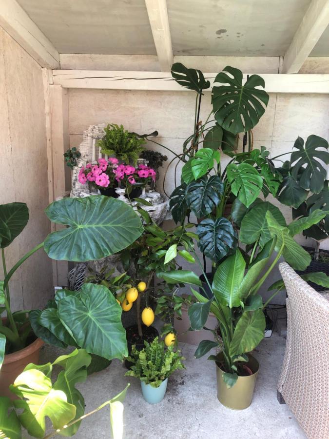 Vintiamo Apartmanok Egerszalók Exteriör bild