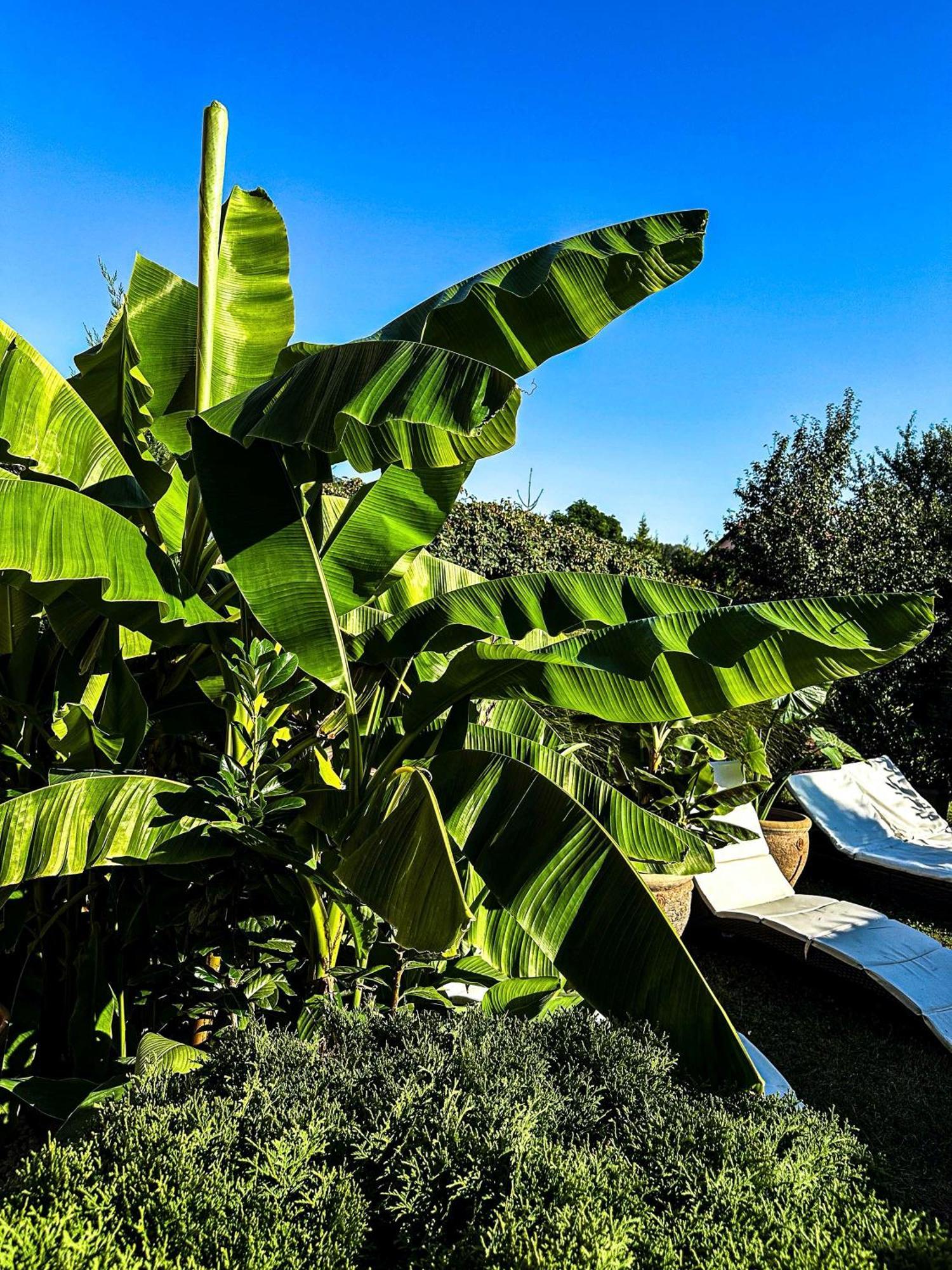 Vintiamo Apartmanok Egerszalók Exteriör bild