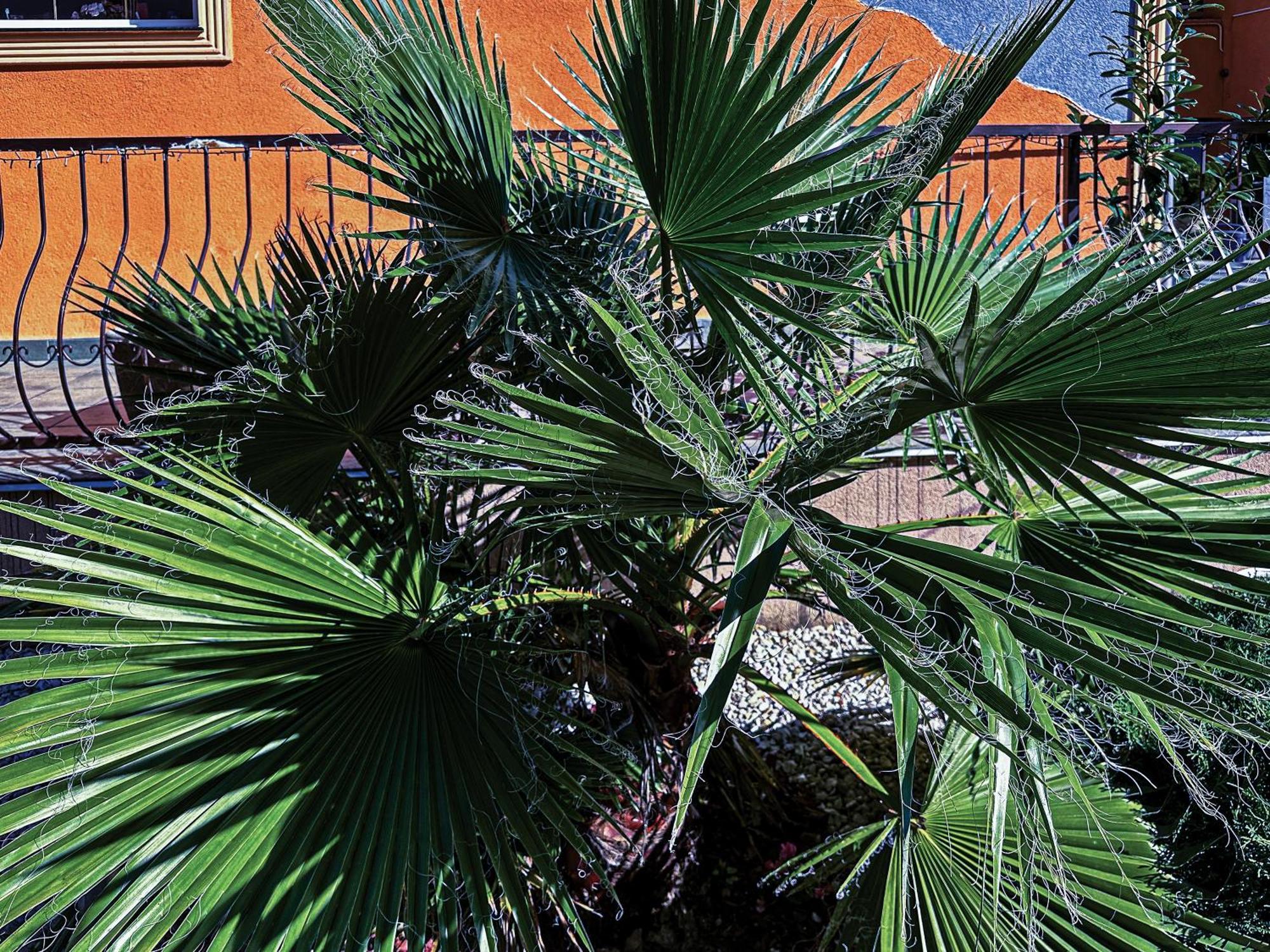 Vintiamo Apartmanok Egerszalók Exteriör bild