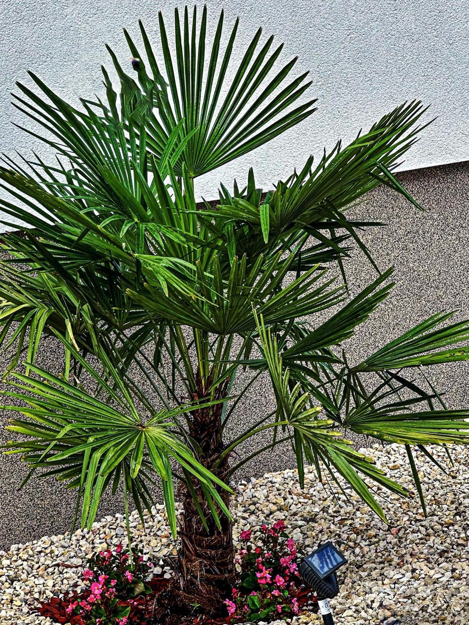 Vintiamo Apartmanok Egerszalók Exteriör bild